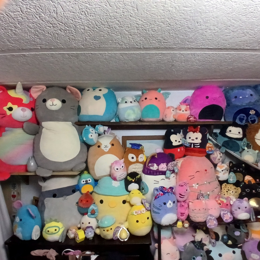 SUPERFLY selling All Our Squishmallow Collection. Buy All, Just Some Or 1